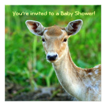 Invitations de baby shower de cerfs communs