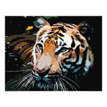 Invitations de tigre