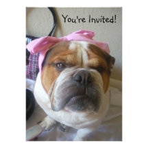 Invitations English Bulldog Birthday or any occas