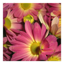 Invitations roses de mamans