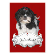 Invitations Shitzu Shih Tzu Puppy Dogs Red Black