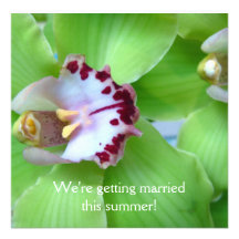 Invitations vertes d'orchidées