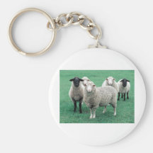 Iowa Sheep Key Chains