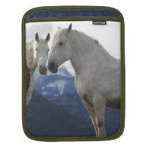 iPad Cover Draught   Horse Sleeves For iPads