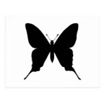 Iphiclides podalirius post cards