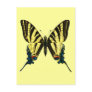 Iphiclides podalirius Postcard