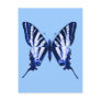 Iphiclides podalirius Postcard