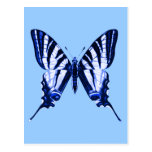 Iphiclides podalirius Postcard
