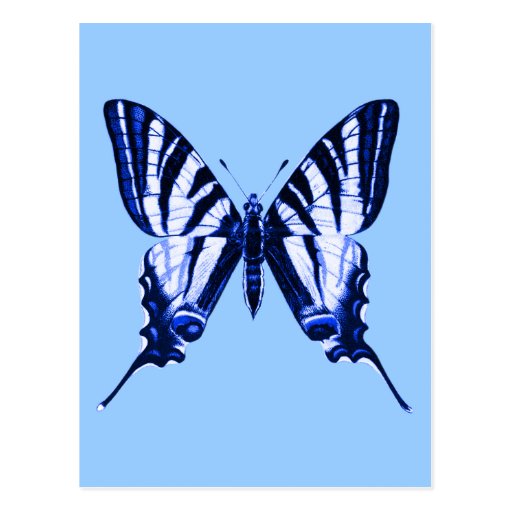 Iphiclides podalirius Postcard