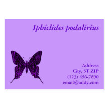 Iphiclides podalirius Profile Card Business Cards