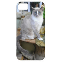 iPhone5 Case Siamese Ragdoll Cat iPhone 5 Covers