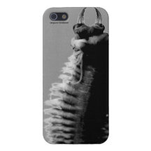 iPhone5 Nereis glossy cover Covers For iPhone 5