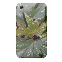 iPhone 3G/3GS Case Case-mate Iphone 3 Case