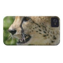 iphone 4 barely there QPC template Ca - Customized iPhone 4 Case-Mate Case