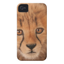 iphone 4 barely there QPC template Ca - Customized iPhone 4 Case-Mate Case