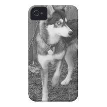 iphone 4 barely there QPC template Ca - Customized iPhone 4 Cover