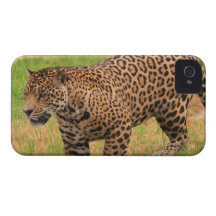 iphone 4 barely there QPC template Ca - Customized Case-Mate iPhone 4 Case