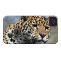 iphone 4 barely there QPC template Ca - Customized iPhone 4 Case-Mate Case