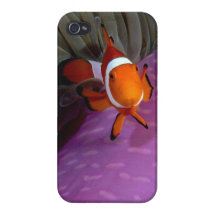 Iphone 4 Case Cute Fish