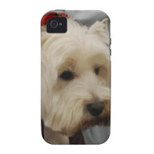 Iphone 4 Vibe QPC template iPhone 4/4 - Customized iPhone 4 Case