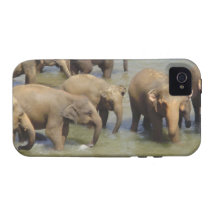Iphone 4 Vibe QPC template iPhone 4/4 - Customized iPhone 4/4S Cases