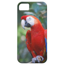 iphone 5 barely there qpc template iP - Customized iPhone 5 Covers