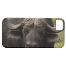 iphone 5 barely there qpc template iP - Customized iPhone 5 Case