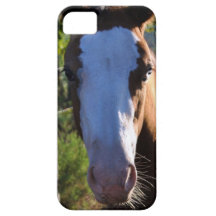 iPhone 5 Barely There Universal Case iPhone 5 Cases