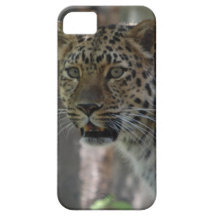 iphone 5 barly there QPC template iPh - Customized iPhone 5 Covers
