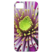 Iphone 5 Case