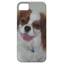 iPhone 5 Case Cavalier