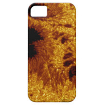 iPhone 5 Case-Mate Barely There™ Sun Spot Case