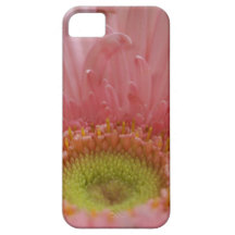 iPhone 5 Case- Pink Gerber Daisy