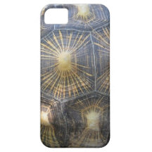 iPhone 5 case with tortoise - turtle shell