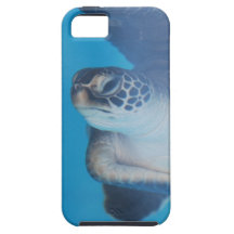 iphone 5 vibe QPC template iPhone 5 C - Customized iPhone 5 Case