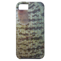 iPhone 5 Vibe (Smallmouth Bass 2) casemate cases