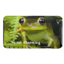 iPod Case "Prince Charming" Fern Frog Barely There iPod Covers