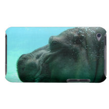 iPod Touch Case - Customized