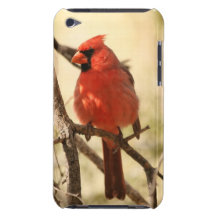 iPod Touch Case - Customized
