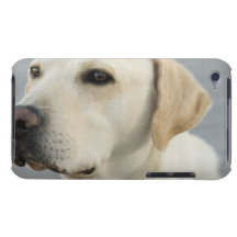iPod Touch Case - Customized