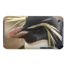 iPod Touch Case - Customized