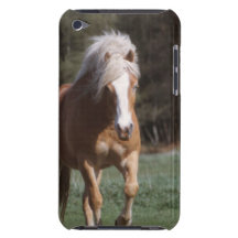 iPod Touch Case - Customized