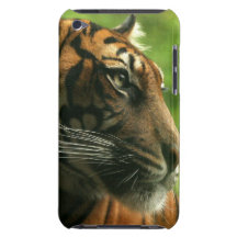 iPod Touch Case - Customized