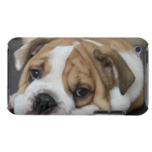 iPod Touch Case - Customized