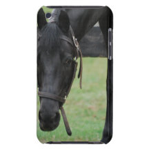 iPod Touch Case - Customized