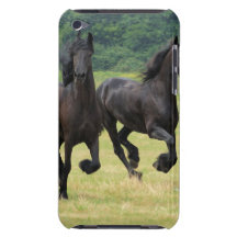 iPod Touch Case - Customized