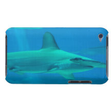 iPod Touch Case - Customized
