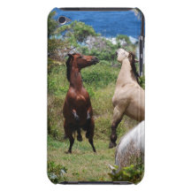 iPod Touch Case - Customized
