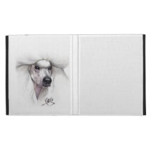 iPood iPad Case