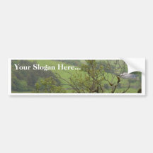 Ireland Bushes Bumper Sticker
